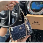 Coach Handbag For Women (LAB795)