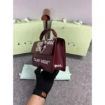 Off White Handbag For Women (LAB853)