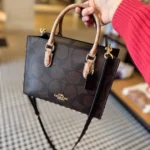 Gucci Coach Small Tote Bag With Og Box For Women (LAB1118)