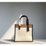 Trendy Coach Tote Bag With Og Folding Box For Women (BSF1003)