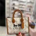Trendy Coach Handbag For Women (LAB1318)
