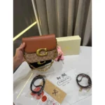 Premium Coach Handbag For Women (LAB1651)