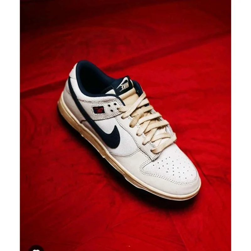 Imported Nike Dunk Low Stranger Things Phantom Shoes For Men (WS241) - stayhit.in