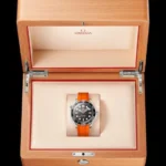 Luxury Omega Seamaster Diver Watch Automatic For Men (WS167) - stayhit.in