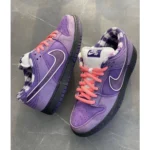 Stylish Nike Sb Dunk Low Concepts Shoes Purple Lobster For Men (SOS235) - stayhit.in