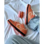 Stylish Nike Sb Dunk Low Shoes Concepts Orange Lobster For Men